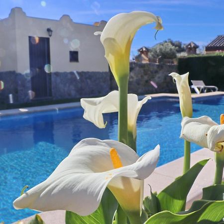 Chalet Bella Mendoza โกนิล เด ลาฟรอนเตรา ภายนอก รูปภาพ